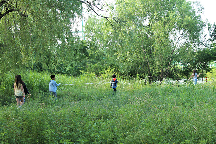 180713_camping 2_in.jpg